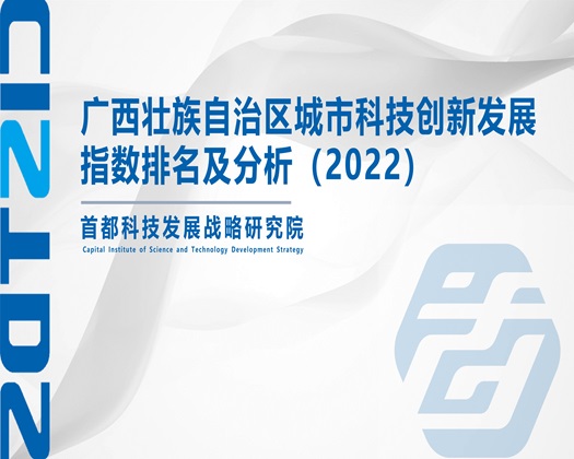 男同互操大吊网站【成果发布】广西壮族自治区城市科技创新发展指数排名及分析（2022）